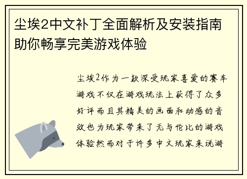 尘埃2中文补丁全面解析及安装指南 助你畅享完美游戏体验